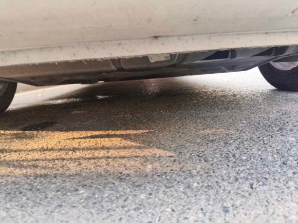 [上海·鲁N] 二手斯柯达明锐2013款 1.6L 自动逸俊版