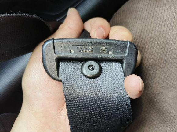 [杭州·浙A] 二手大众朗逸纯电2019款 优享版