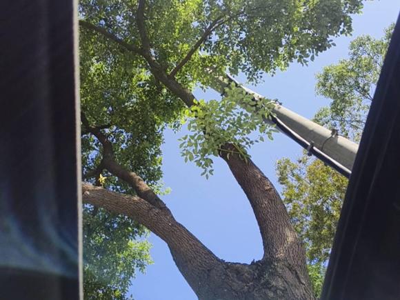 [上海·沪C] 二手本田本田XR-V2015款 1.8L EXi  CVT舒适版