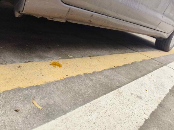 [广州·粤A] 二手讴歌讴歌ILX2013款 1.5L Hybrid