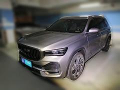 [金华·浙A] 吉利汽车星越L2021款 2.0TD DCT EVO两驱智尊型