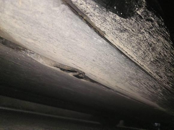 [武汉·鄂A] 二手特斯拉Model 32020款 标准续航后驱升级版