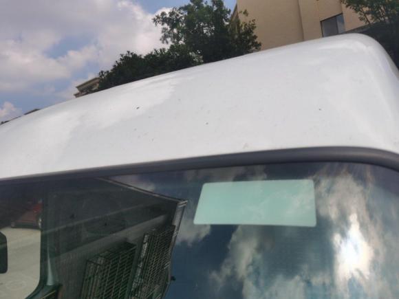 [嘉兴·浙F] 二手江铃特顺2017款 2.8T商运型短轴中顶6/7/8座JX493