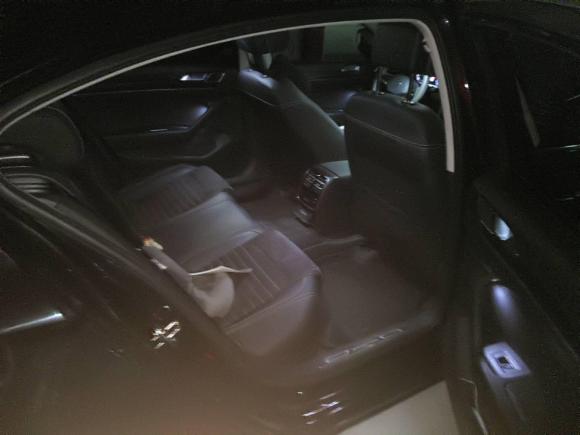 [宁波·浙B] 二手大众迈腾2020款 380TSI DSG 豪华型