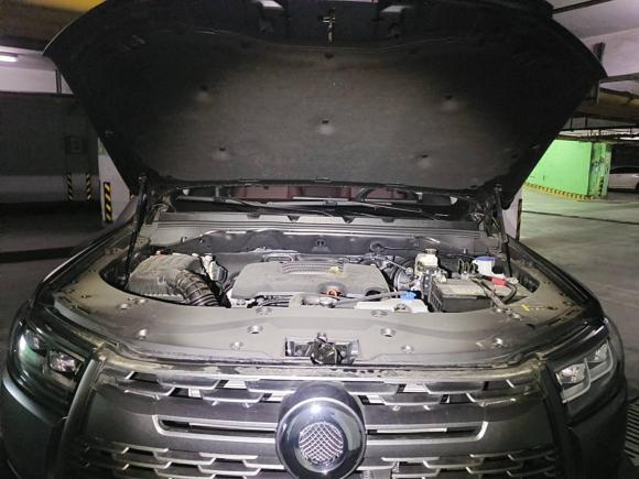 [宁波·浙B] 二手长城炮2023款 2.0T越野版自动汽油四驱珠峰版