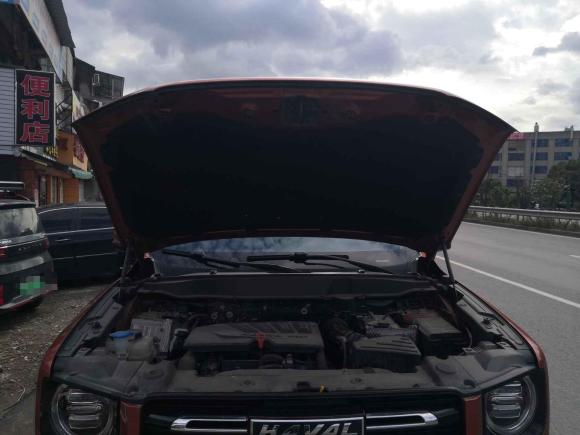 [温州·浙C] 二手哈弗哈弗大狗2021款 1.5T DCT两驱边牧-旺财版