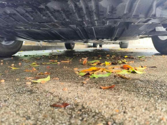 [深圳·粤S] 二手日产轩逸2022款 1.6L XL CVT悦享版