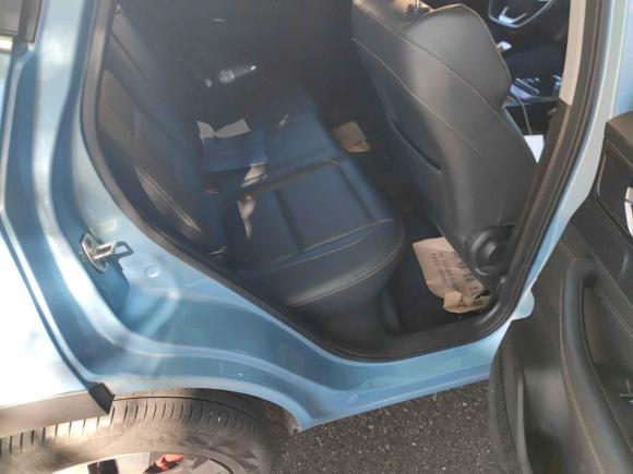 [北京·京A] 二手奇瑞新能源瑞虎e2021款 虎啸版 120kW