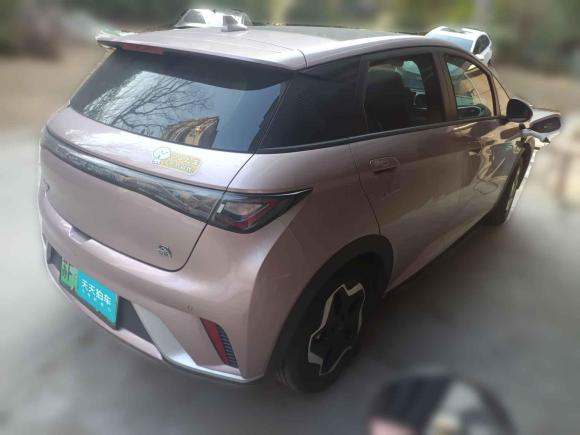 [南通·苏F] 二手比亚迪海豚2021款 405km 时尚版