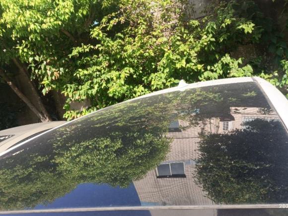 [上海·皖F] 二手力帆汽车轩朗2017款 2.0L CVT舒适型