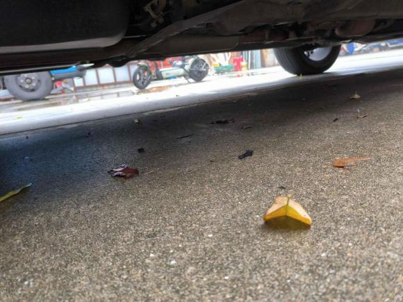 [佛山·粤X] 二手三菱欧蓝德2020款 2.4L 四驱致享版 5座