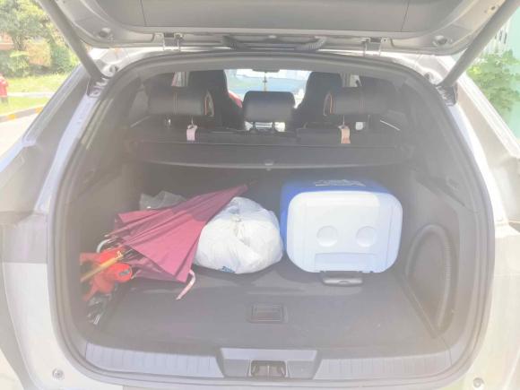 [上海·沪A] 二手比亚迪宋PLUS新能源2021款 DM-i 51KM 尊贵型