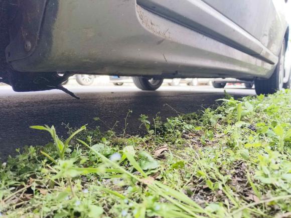 [湖州·浙E] 二手沃尔沃沃尔沃S80L2011款 2.0T 智雅版