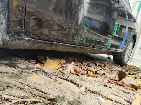 [广州·苏J] 二手马自达马自达62013款 2.0L 自动时尚型