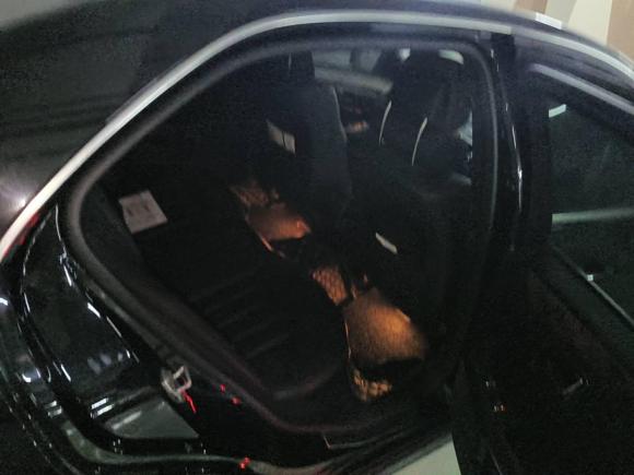 [湖州·浙E] 二手奔驰奔驰E级2009款 E 300 优雅型