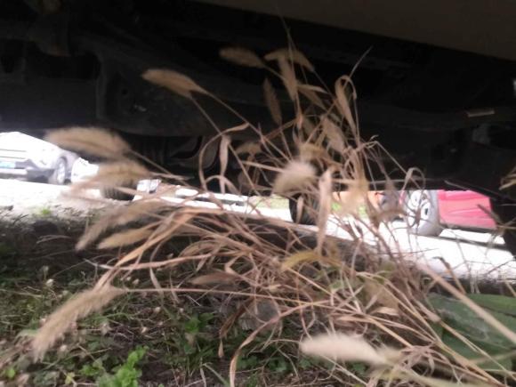 [成都·川G] 二手魏牌魏牌 VV52021款 1.5T 两驱智先锋