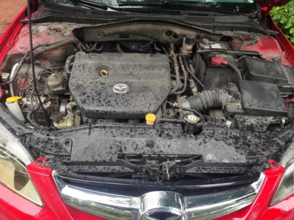 [嘉兴·浙F] 二手马自达马自达62011款 2.0L 自动时尚型