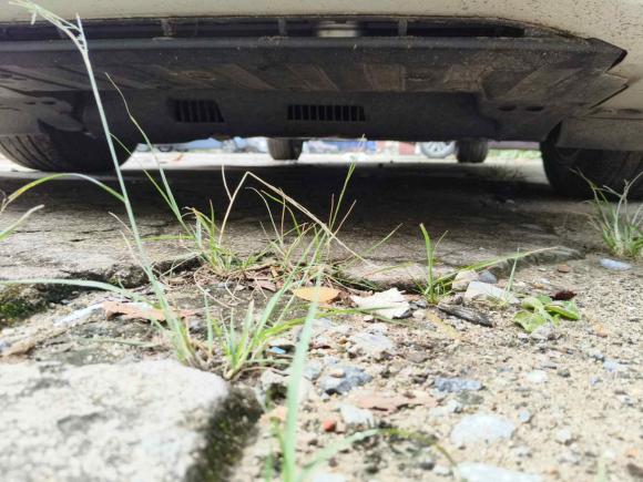 [佛山·粤E] 二手本田凌派2019款 180Turbo CVT舒适版 国V