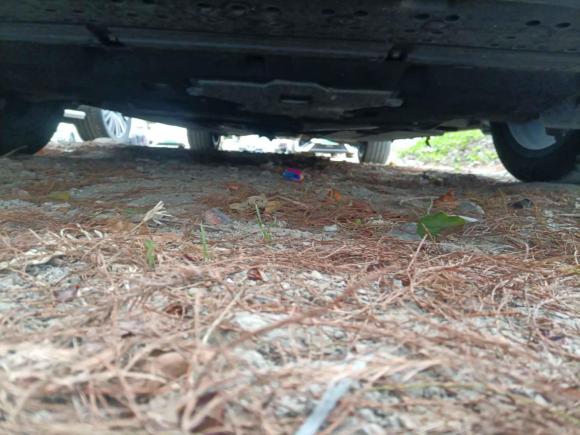 [佛山·粤E] 二手红旗红旗H92020款 2.0T 智联旗享版