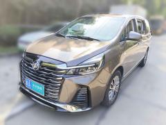 [合肥·皖A] 别克别克GL82021款 陆上公务舱 652T 豪华型