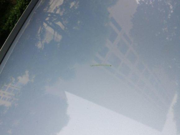 [上海·沪A] 二手北京汽车北京EX32019款 R600 劲风版