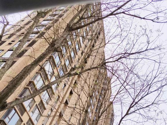 [南京·苏A] 二手奥迪奥迪A4L2016款 35 TFSI 典藏版 S line舒适型