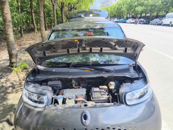 [上海·沪A] 二手欧拉欧拉白猫2020款 360km 豪华型