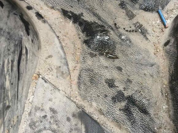 [常州·苏D] 二手长安凯程长安睿行M602020款 1.6L标准型国VI 6座CNG DAM16KRC