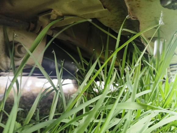 [上海·豫D] 二手五菱汽车五菱宏光2015款 1.5L S1舒适国V