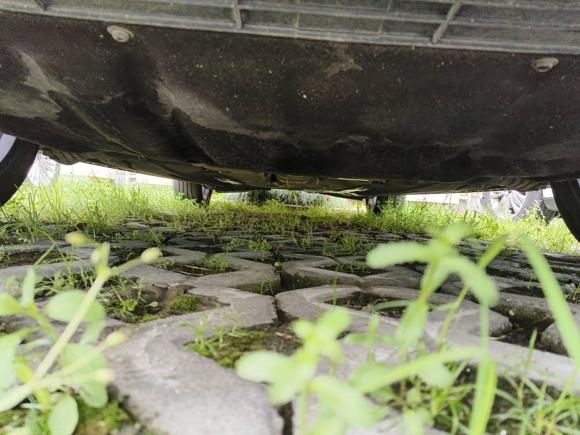 [上海·沪C] 二手福特福克斯Active2020款 EcoBoost 180 自动劲耀型