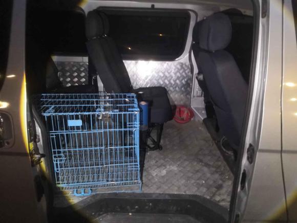 [无锡·苏B] 二手福田风景G52021款 2.0L汽油商运版6座多用途乘用车1TZS