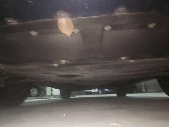 [宁波·浙B] 二手福特锐际2020款 EcoBoost 245 四驱纵享款ST-LINE