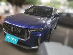 [广州·新A]奔腾&nbsp;&nbsp;奔腾T99&nbsp;&nbsp;2020款20TD自动尊享型