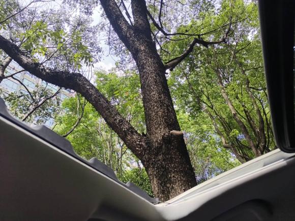 [上海·苏J] 二手福特领界2019款 EcoBoost 145 CVT铂领型 国VI