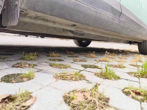 [嘉兴·浙F] 二手吉利几何吉利几何E萤火虫2022款 401KM 霹雳虎 4座