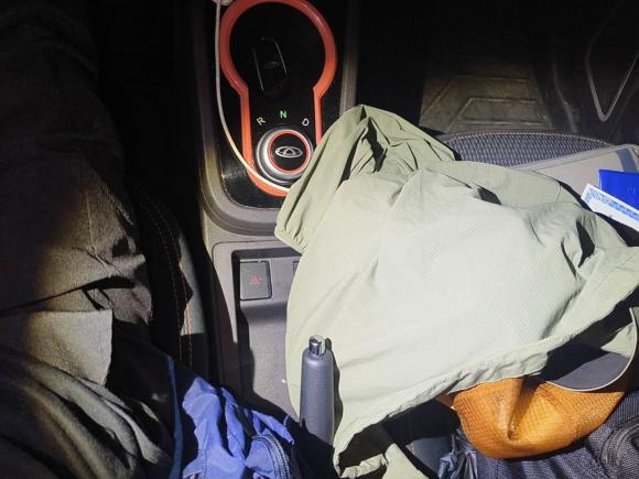 [芜湖·皖B] 二手奇瑞新能源小蚂蚁2018款 300 4座智享版