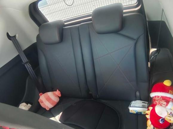 [芜湖·皖B] 二手奇瑞新能源小蚂蚁2022款 甜粉款 半糖版 三元锂 30kW 301km