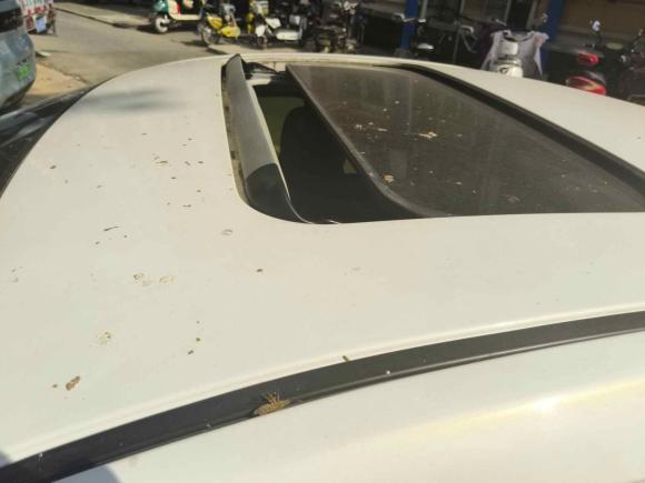 [南京·苏A] 二手马自达阿特兹2017款 2.5L 蓝天运动版