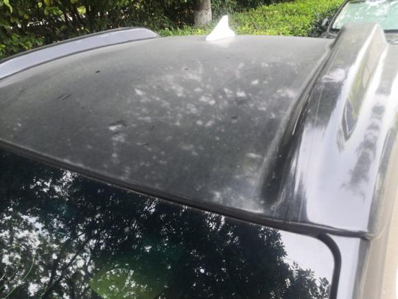 [常州·苏D] 二手宝骏宝骏E1002018款 智享版