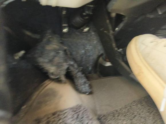 [青岛·鲁B] 二手丰田雷凌2017款 改款 185T CVT精英版 国VI