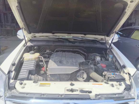 [上海·沪A] 二手双龙雷斯特W2014款 2.0T 四驱豪华导航版7座