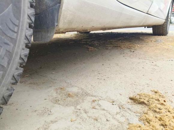 [青岛·鲁B] 二手福特福睿斯2017款 改款 1.5L 手动舒适型