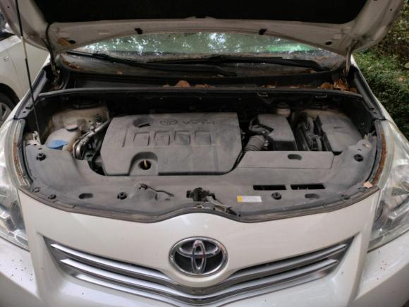 [上海·沪B] 二手丰田逸致2014款 星耀 180E CVT精英多功能版