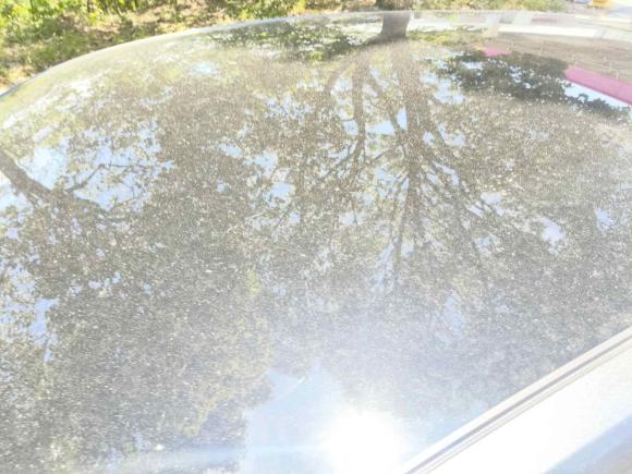 [武汉·鄂A] 二手长安长安UNI-V2023款 1.5T 尊贵型