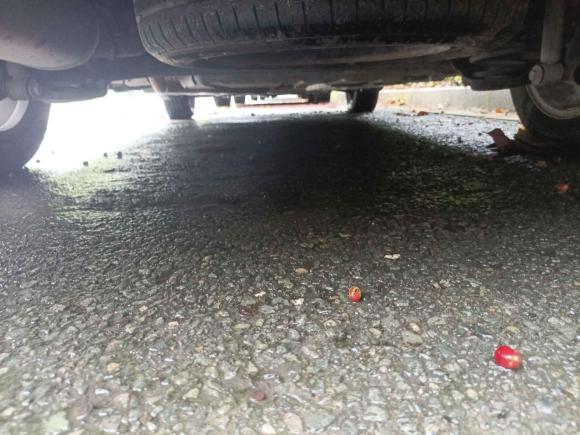 [深圳·粤S] 二手宝骏宝骏3602018款 1.5L 手动精英型 国V