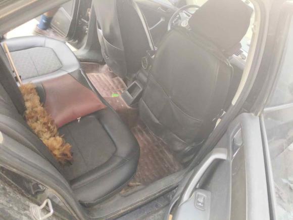 [佛山·川K] 二手大众桑塔纳2015款 1.4L 手动舒适版