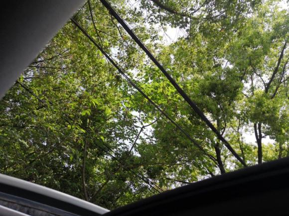 [上海·皖A] 二手本田歌诗图2012款 2.4L 豪华版