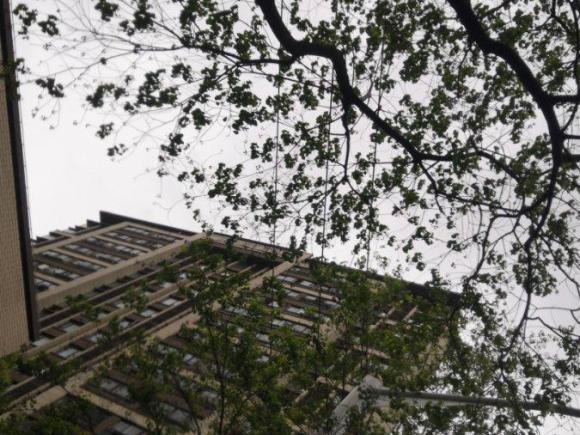 [上海·鲁D] 二手奔驰奔驰E级2011款 E 200 L CGI优雅型