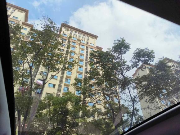 [上海·沪A] 二手飞凡汽车飞凡ER62021款 新动版 620km 智行版