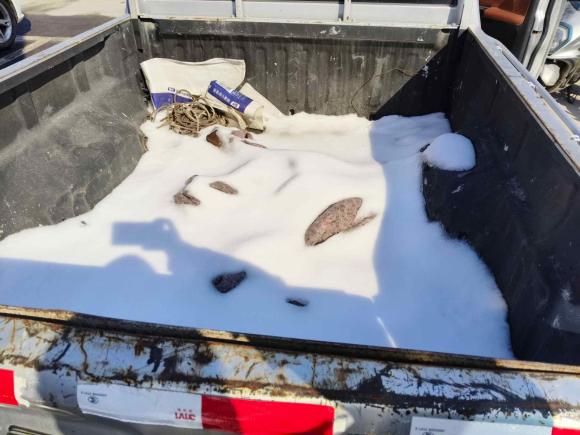 [济南·鲁A] 二手长城风骏52017款 2.2L经典版两驱大双排491QE